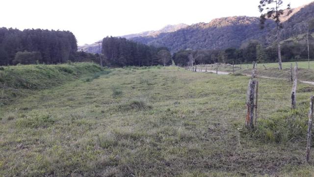Fazenda - Foto 3