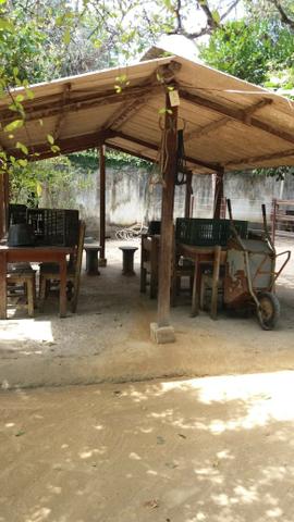 Chácara paraiso - Foto 14