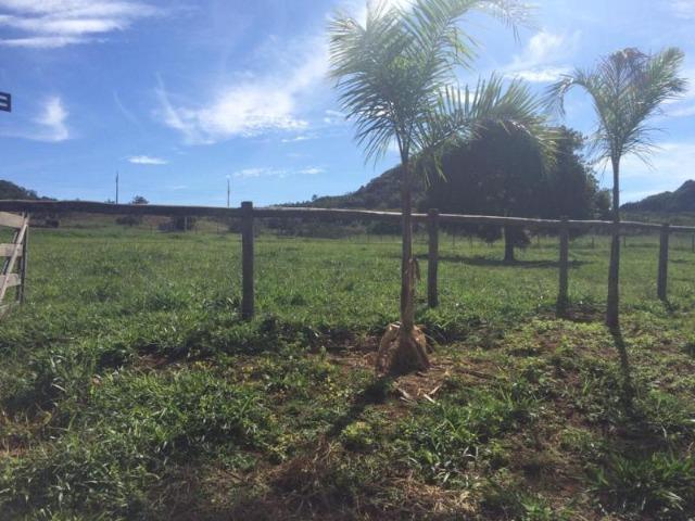 100 Alq. Planta 20 Vermelha Formada Montada Represa na Porta Iporá GO - Foto 18