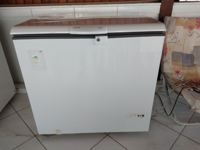Freezer Consul 309 L