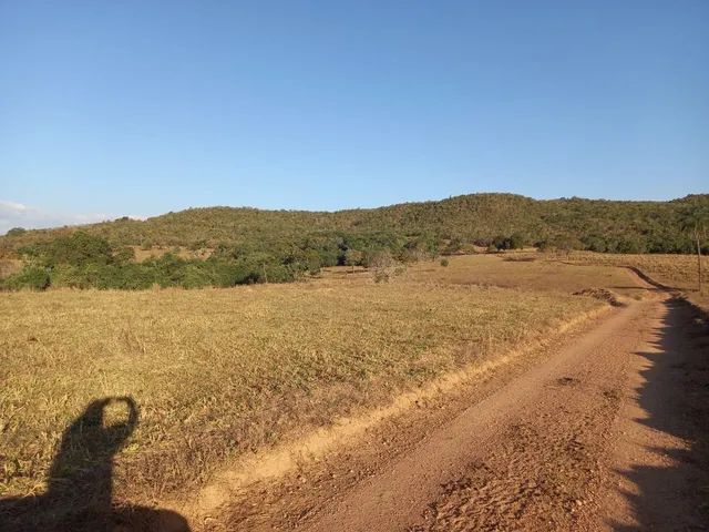 Fazenda 96 alq em Goianesia-GO - Foto 2