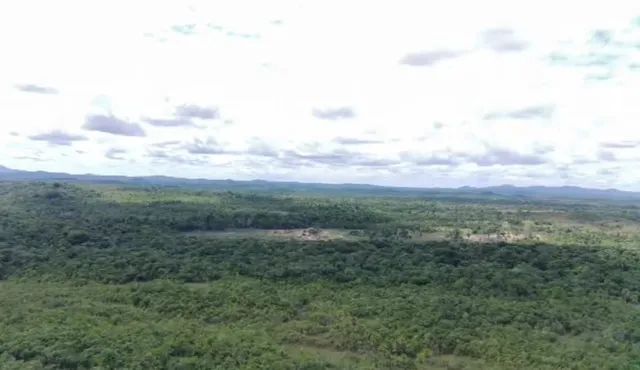 TERRA BARATA NO AMAZONAS  210  REAIS O HECTARE - Foto 4