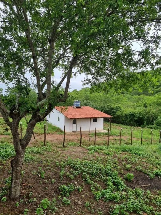 Vendo Sítio em Gravatá-PE escriturada, com 2 casas e poço artesiano - Foto 5