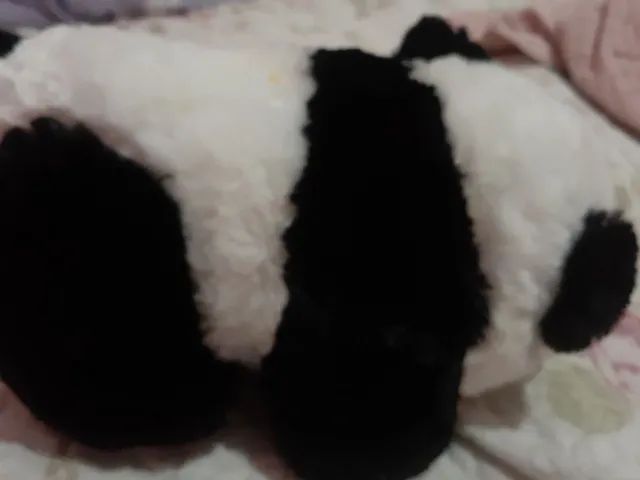 Pelúcia de panda - Foto 4