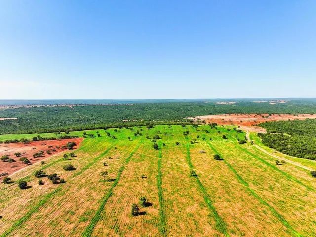 Fazenda de 1.590 alqueires formoso do Araguaia - Foto 5