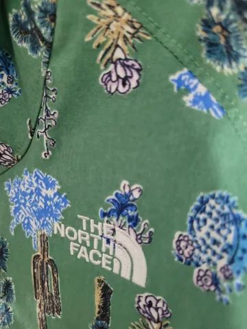 blusa The north Face Relaxed Fit Verde Cactus P - Foto 2