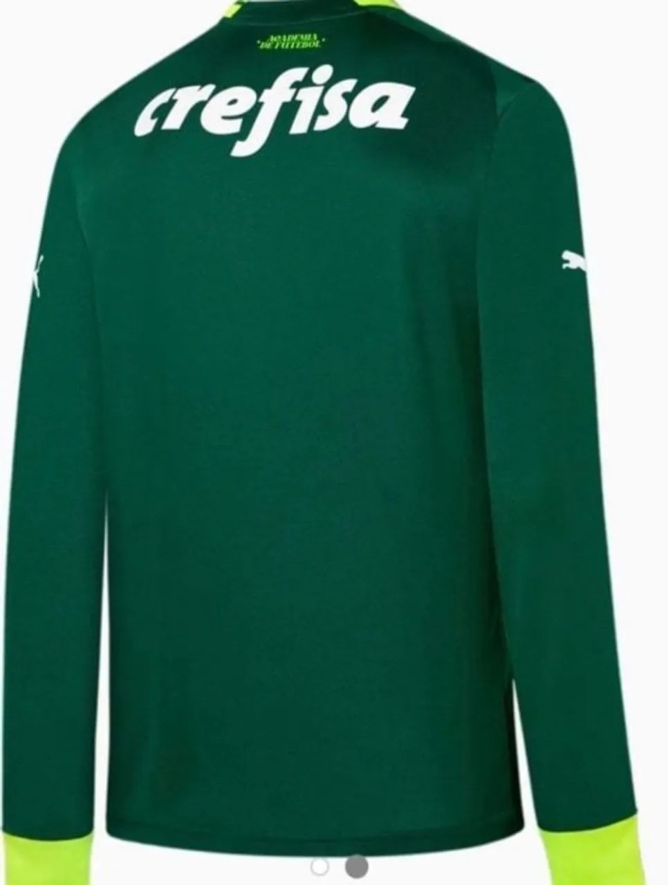 CAMISA PALMEIRAS MANGA LONGA - Foto 2