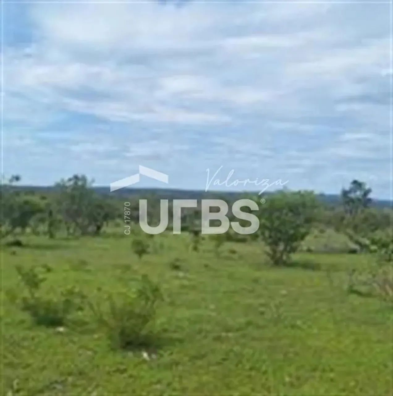 AREA RURAL PARA RESERVA - Foto 2