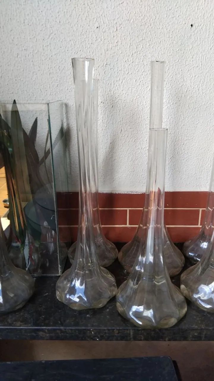 Tulipas para decoração 