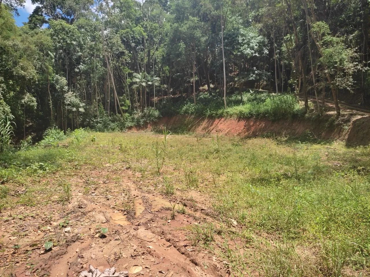Chácara com área verde em região tranquila - Foto 3