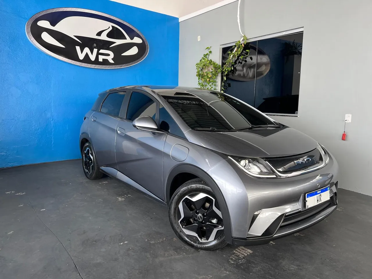 DOLPHIN EV (ELÉTRICO) 2023/2024
