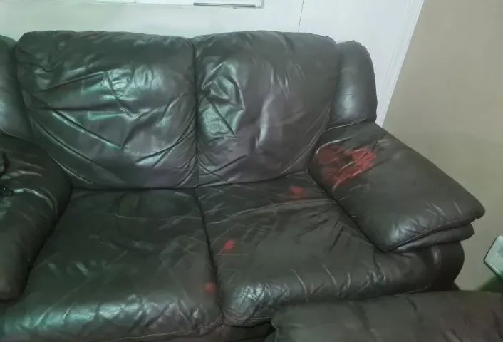Conjunto de Sofás de Couro Legítimo com Estrutura de Madeira - Foto 2