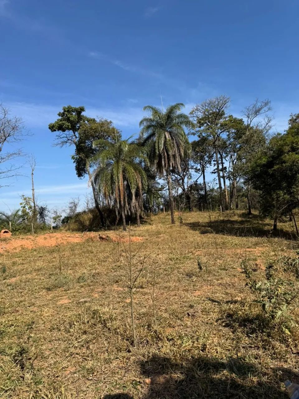 Terreno de 27 mil metros em azurita  - Foto 2
