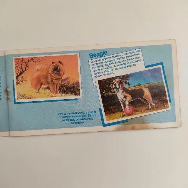Álbum figurinhas cães de raça promocional Danone anos 80 (usado) - Foto 4