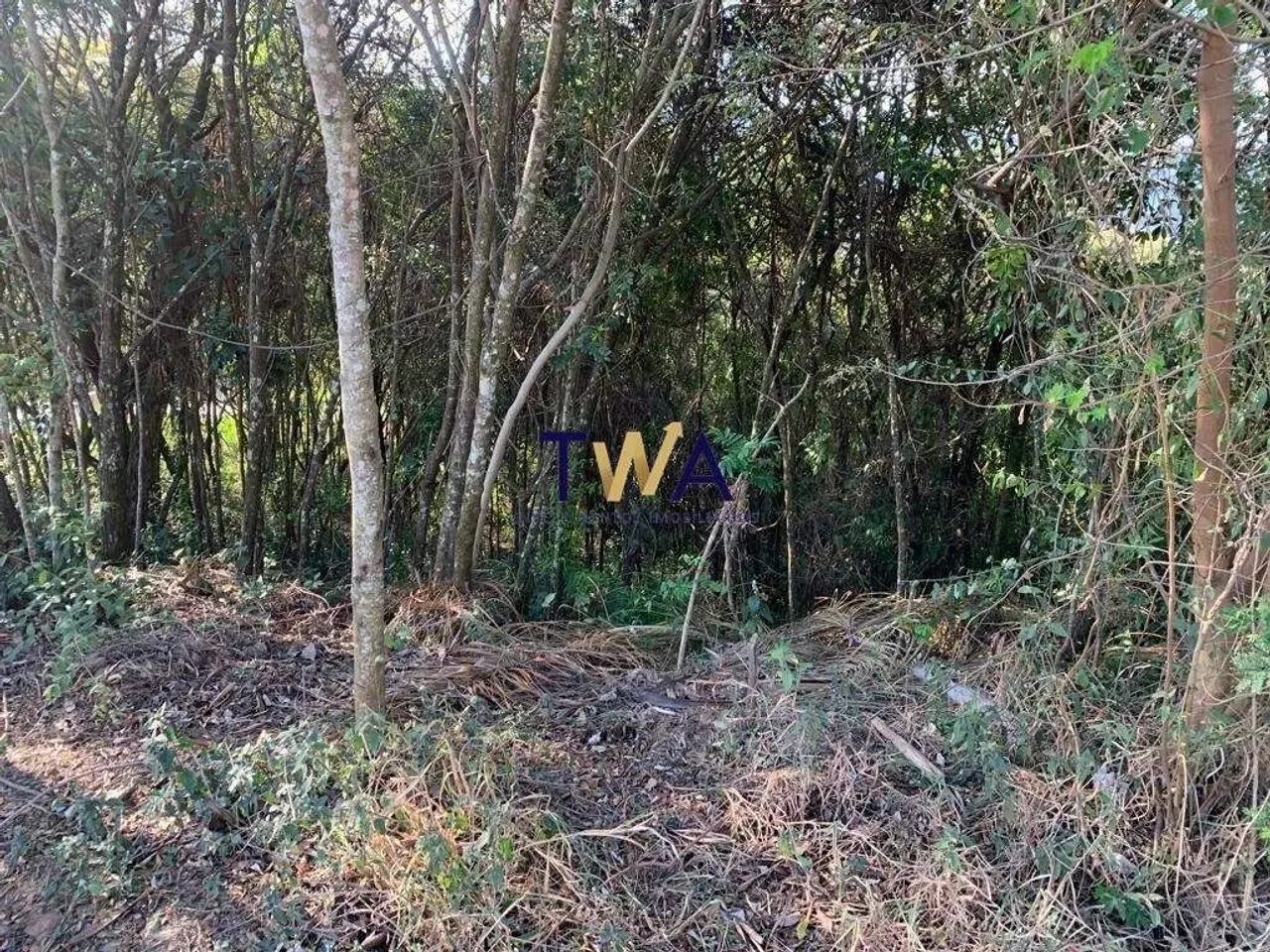 Lote em condomínio fechado em rua plana com 800 metros quadrados - Foto 4