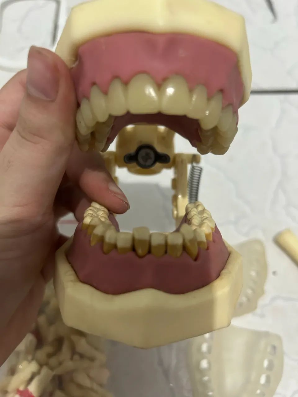 Manequim odontológico  - Foto 5