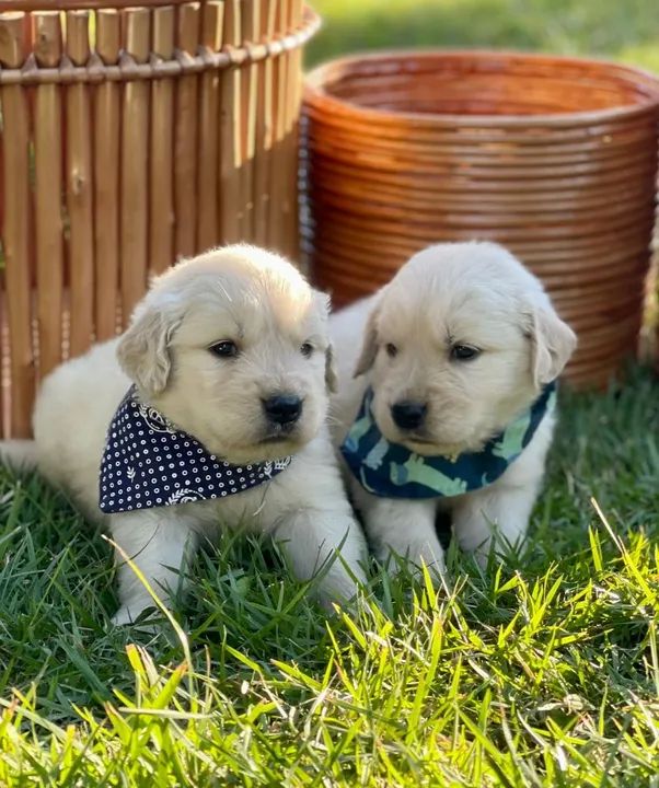 Beleza de sobradinho  - Foto 6