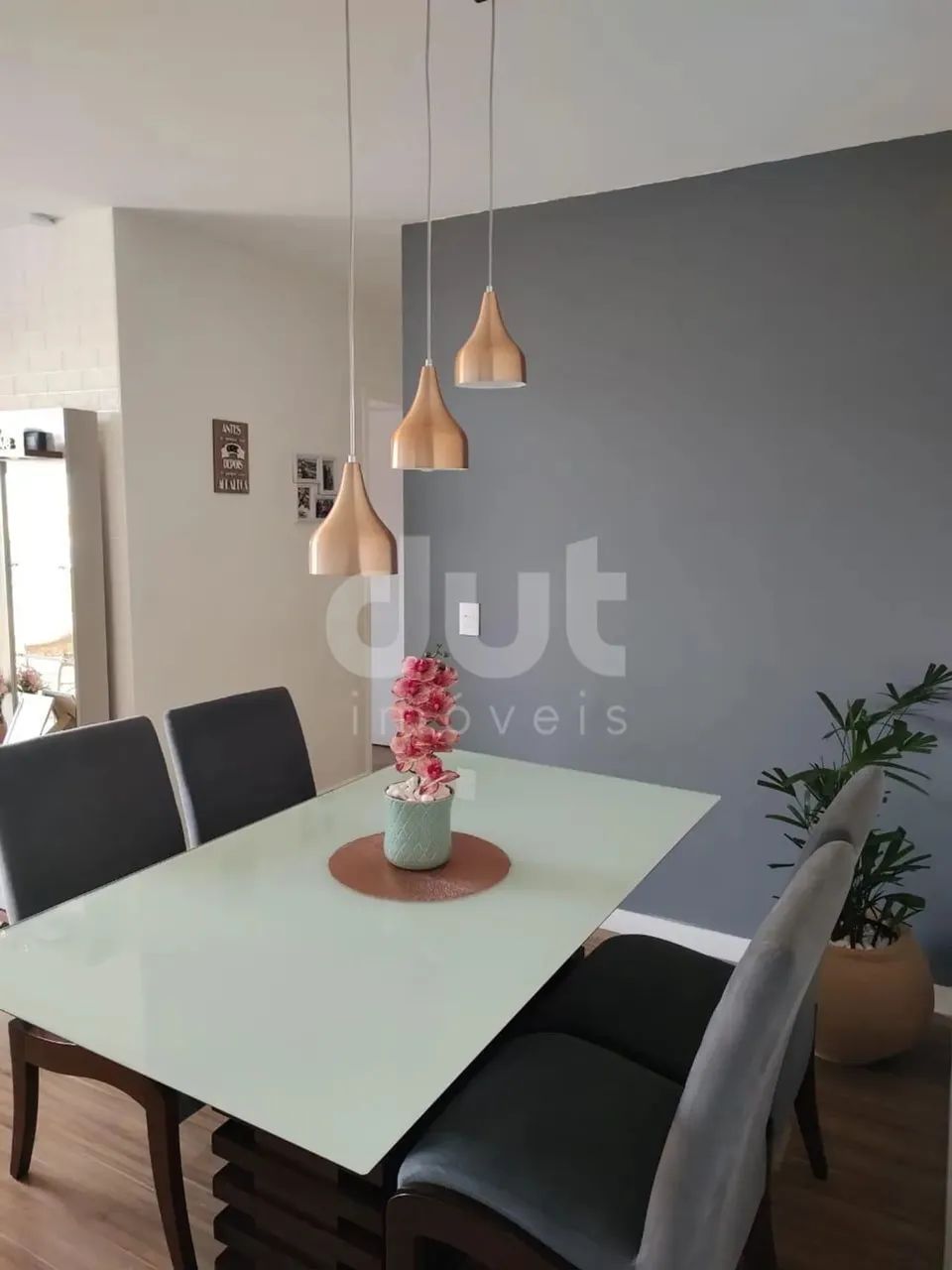 apartamento - São Bernardo - Campinas - Foto 5