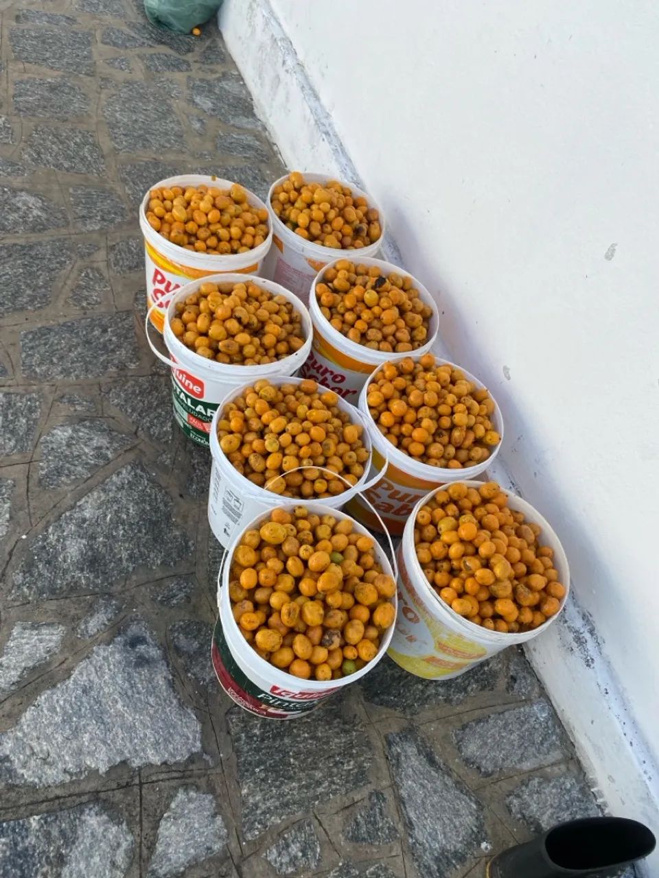 Balde de Caja a fruta  - Foto 2