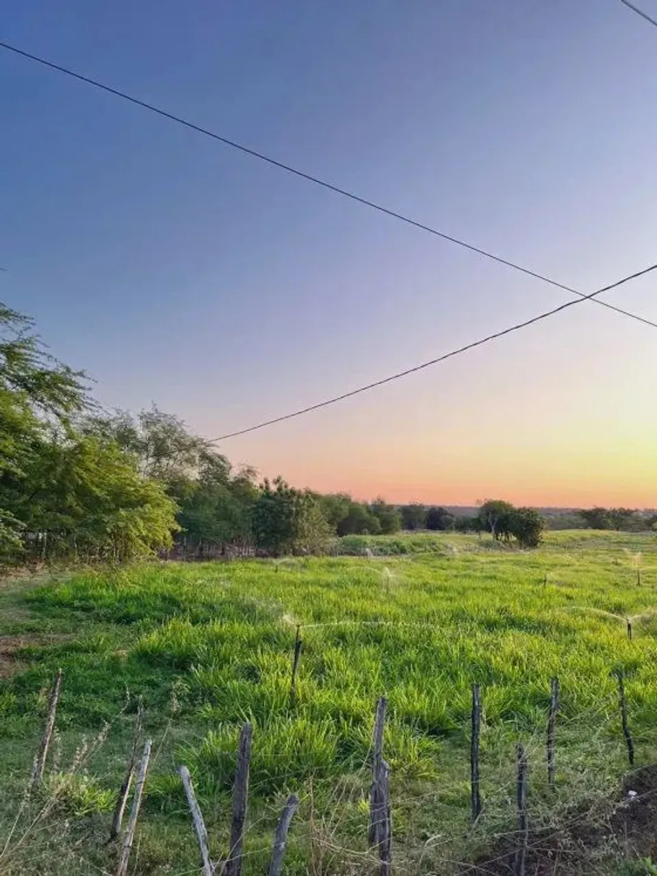 fazenda com 23 hectares na região do Seridó em São João do Sabugi