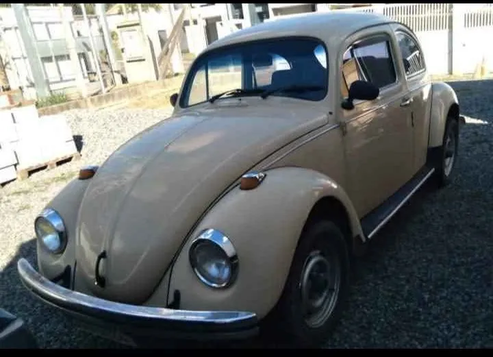 Fusca Fuscao 1600