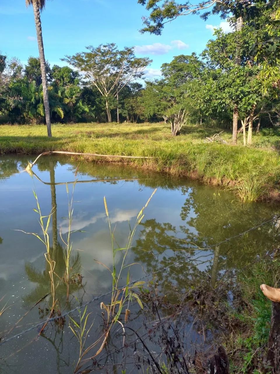 Fazenda em campo florido minas  - Foto 2