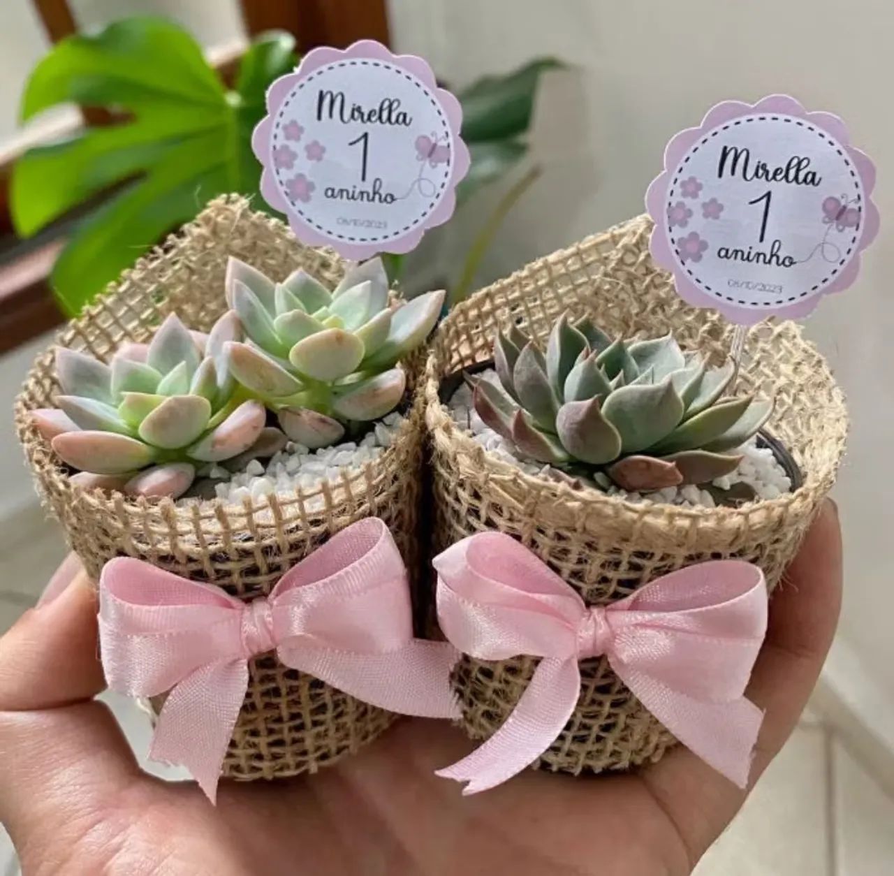 Lembrancinhas de Suculentas personalizadas 