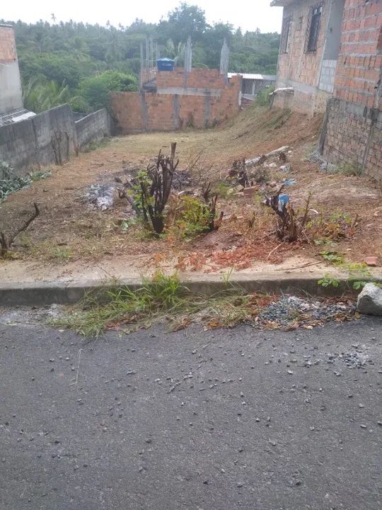 Terreno em Barra de Jacuípe  - Foto 3