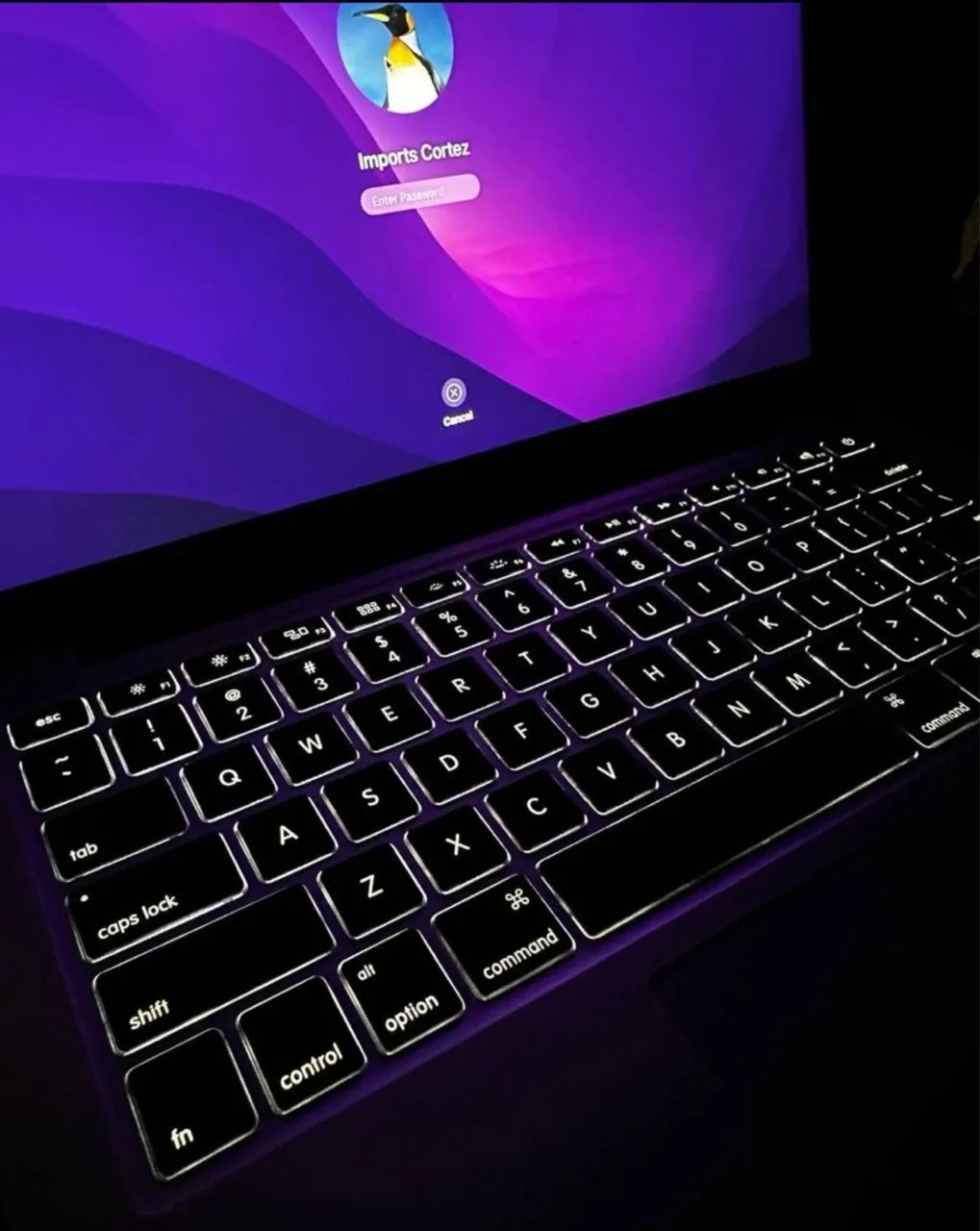 MacBook Pro (Retina, 13-inch, Early 2015) Processador 3,1 GHz