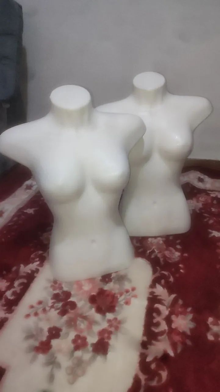 Bustos femininos 