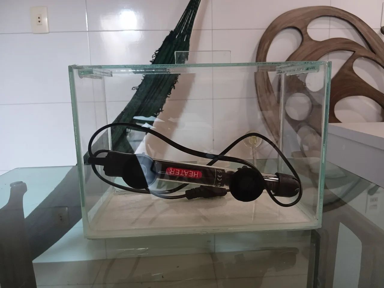 Aquário 