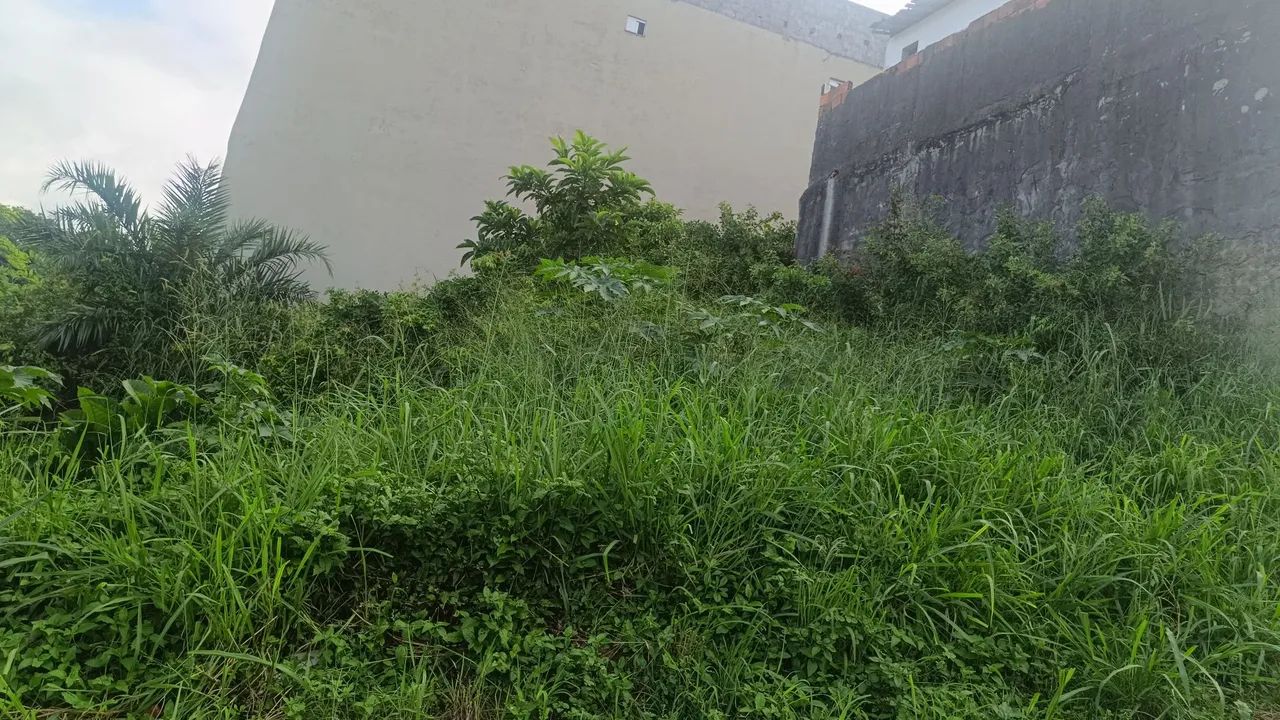 Terreno no precinho  - Foto 4
