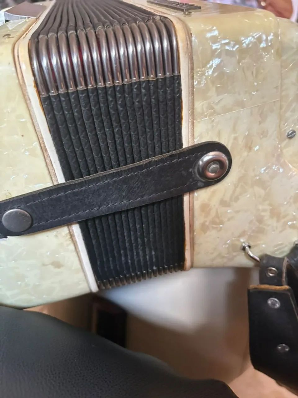 Acordeon 