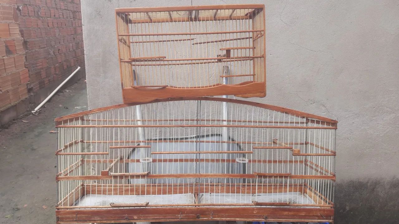 2 gaiola  - Foto 2