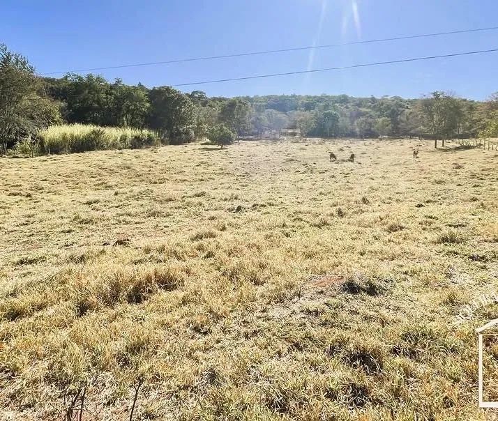 Chácaras, lotes e terrenos em Pirenópolis direto com proprietário! - Foto 4