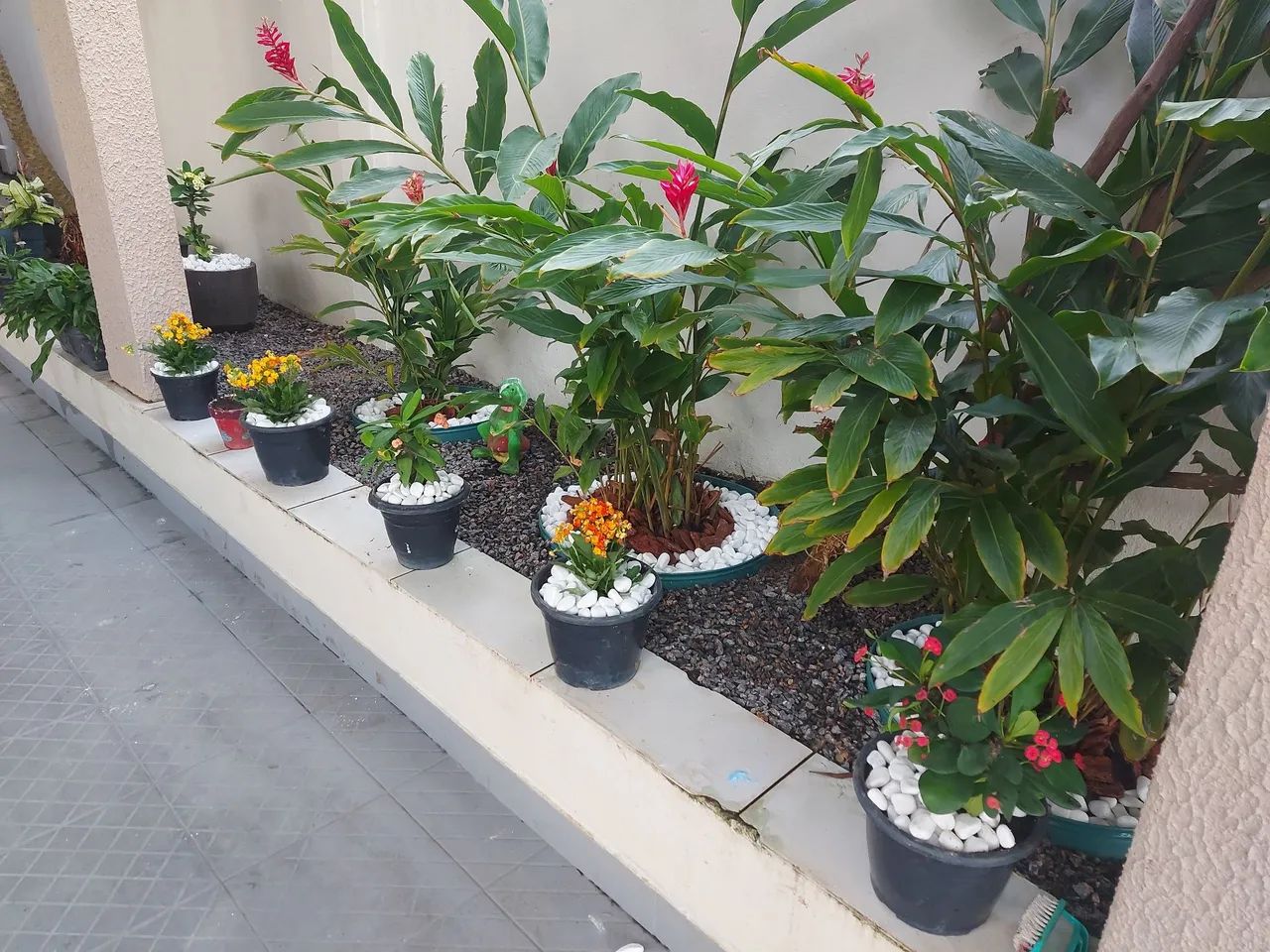 Jardineiro e paisagista  - Foto 5