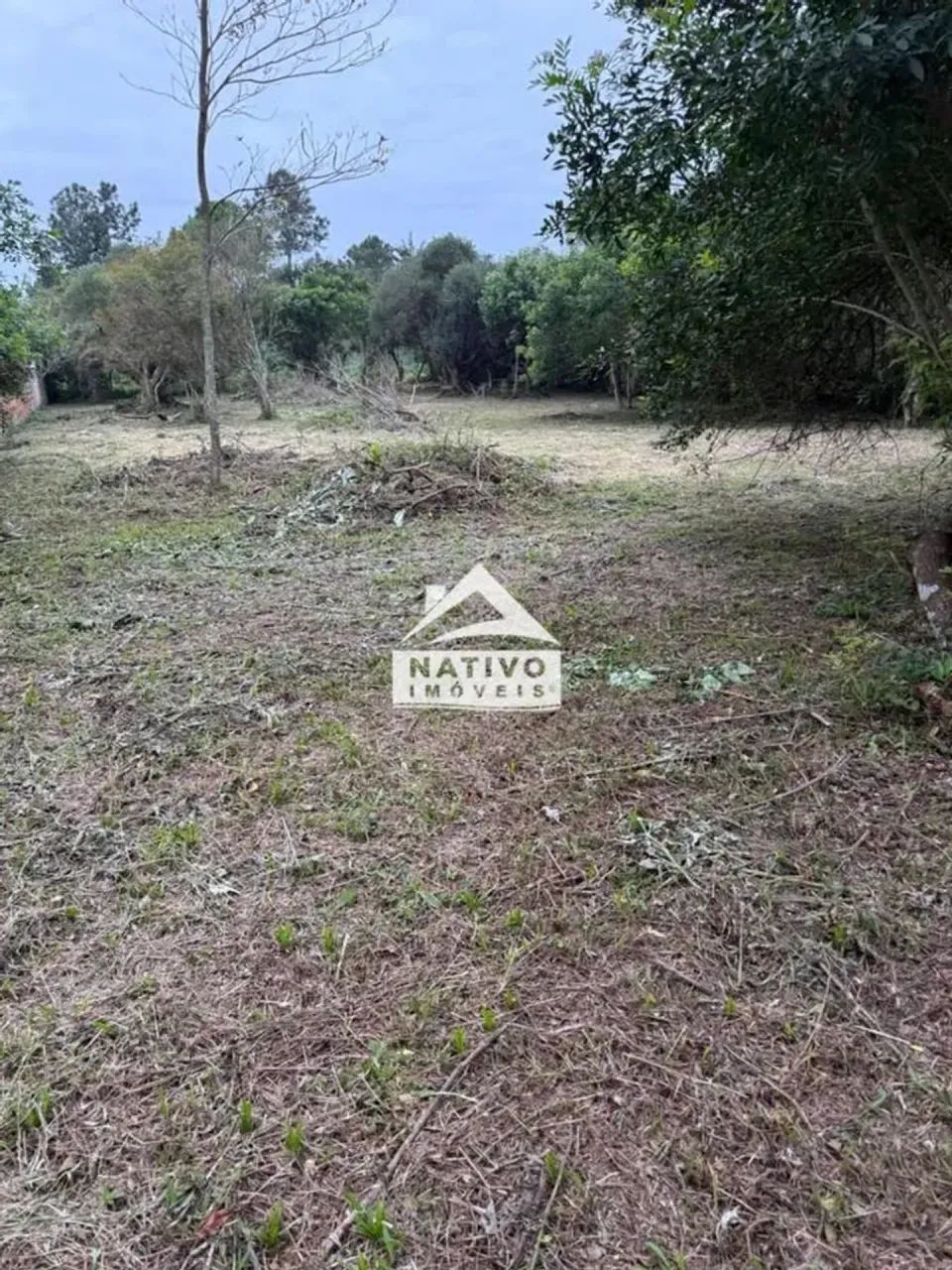 Terreno com 1.000 m² no Rio Vermelho Florianópolis - Foto 5