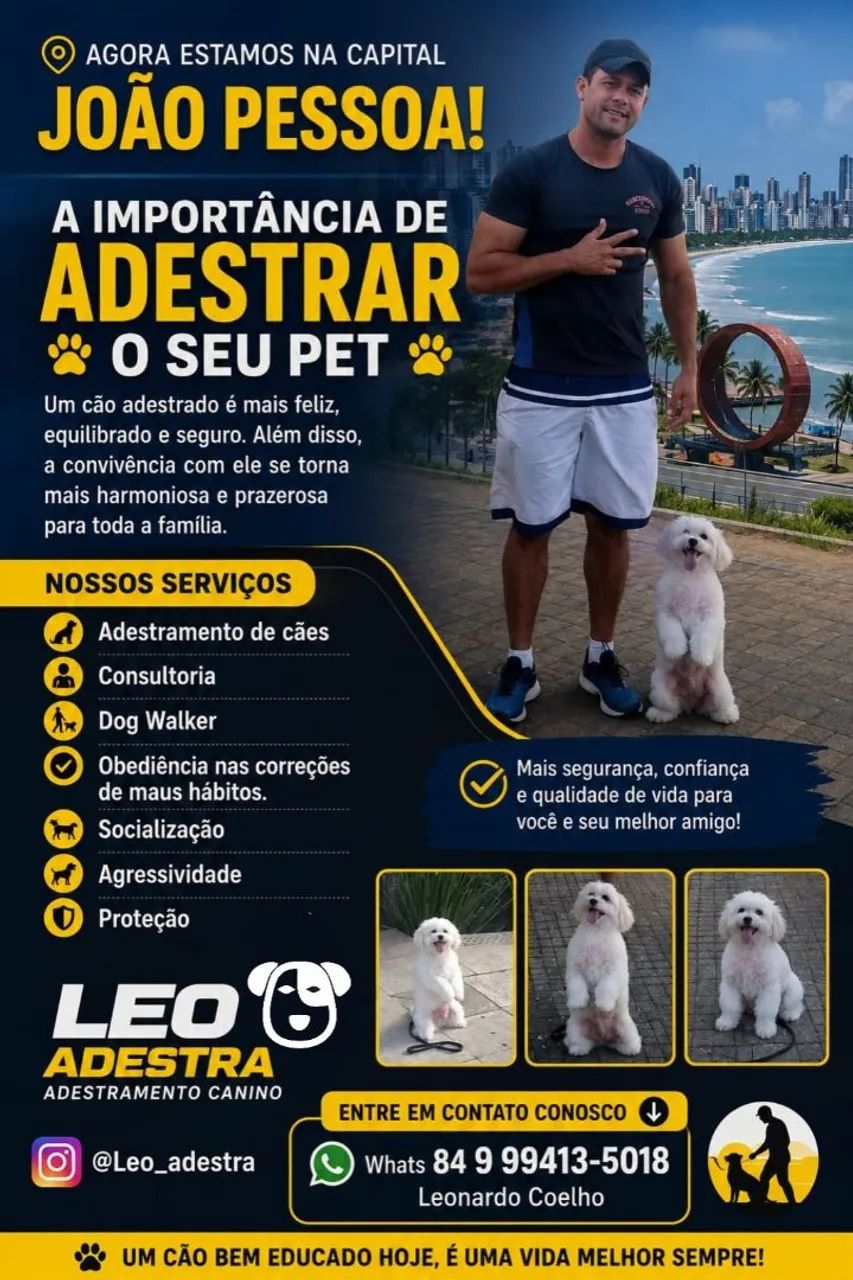Adestramento de Cães 