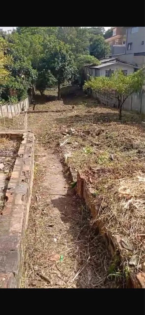 Terreno no Vista Alegre  - Foto 4