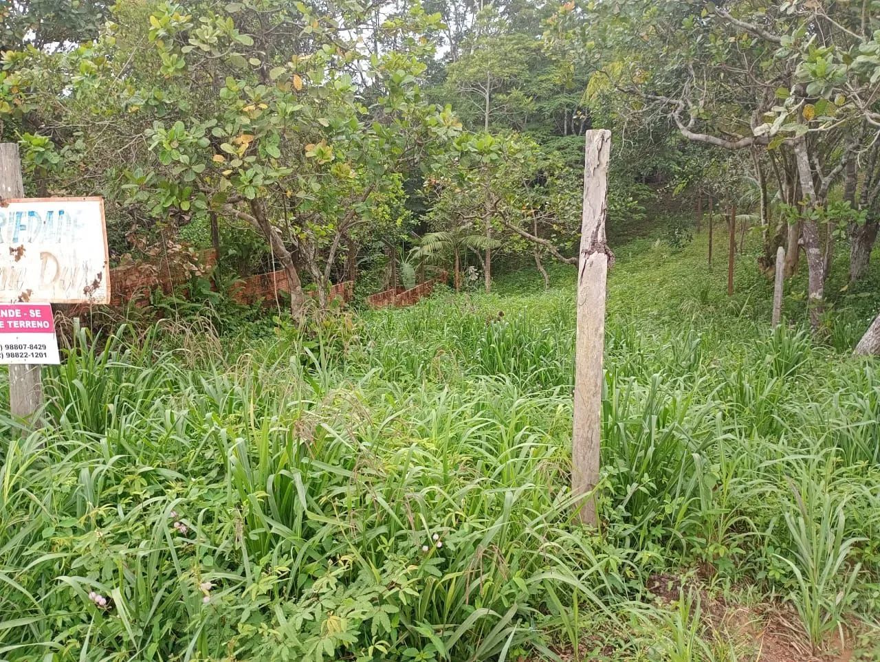 Terreno a venda no Iranduba  - Foto 3
