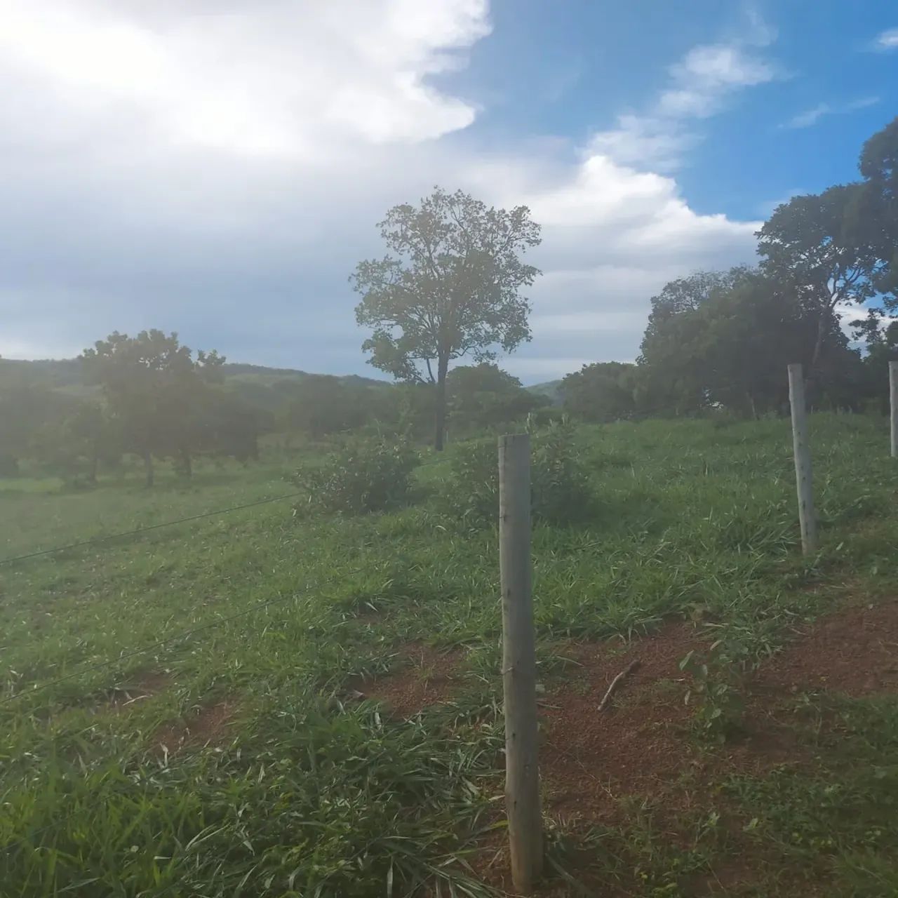 Vendo fazenda com 173 hectares na região de BONFINOPOLIS  próximo a Unai MG - Foto 8