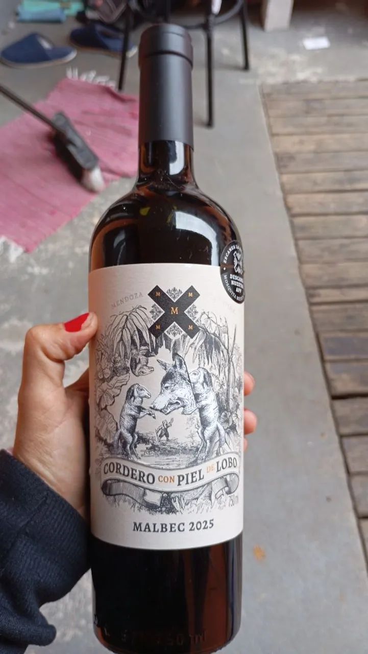 Vinhos Argentinos  - Foto 3