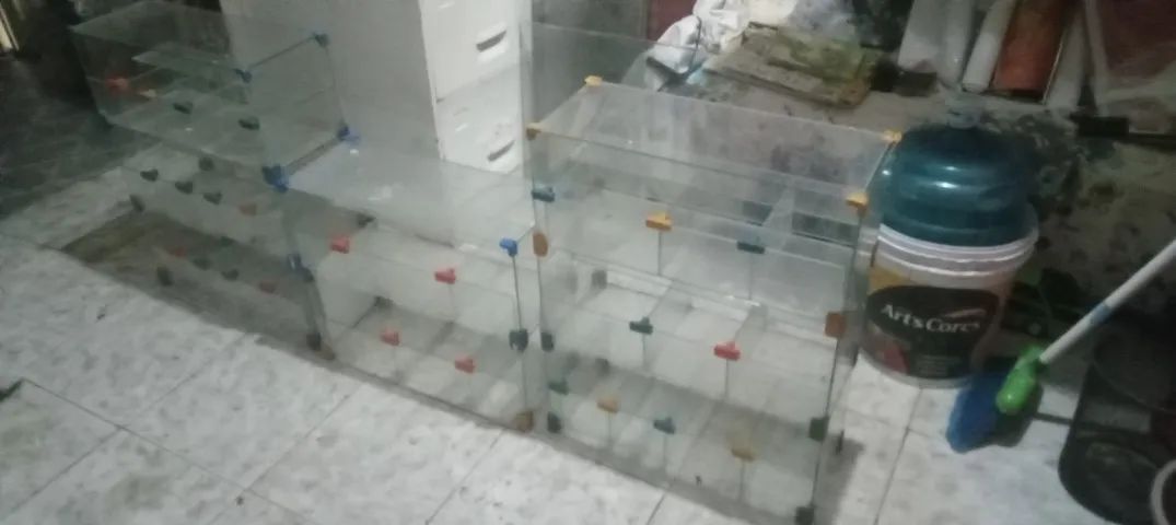 Expositores de vidro/ Bombonieres (3 unidades) - Foto 4