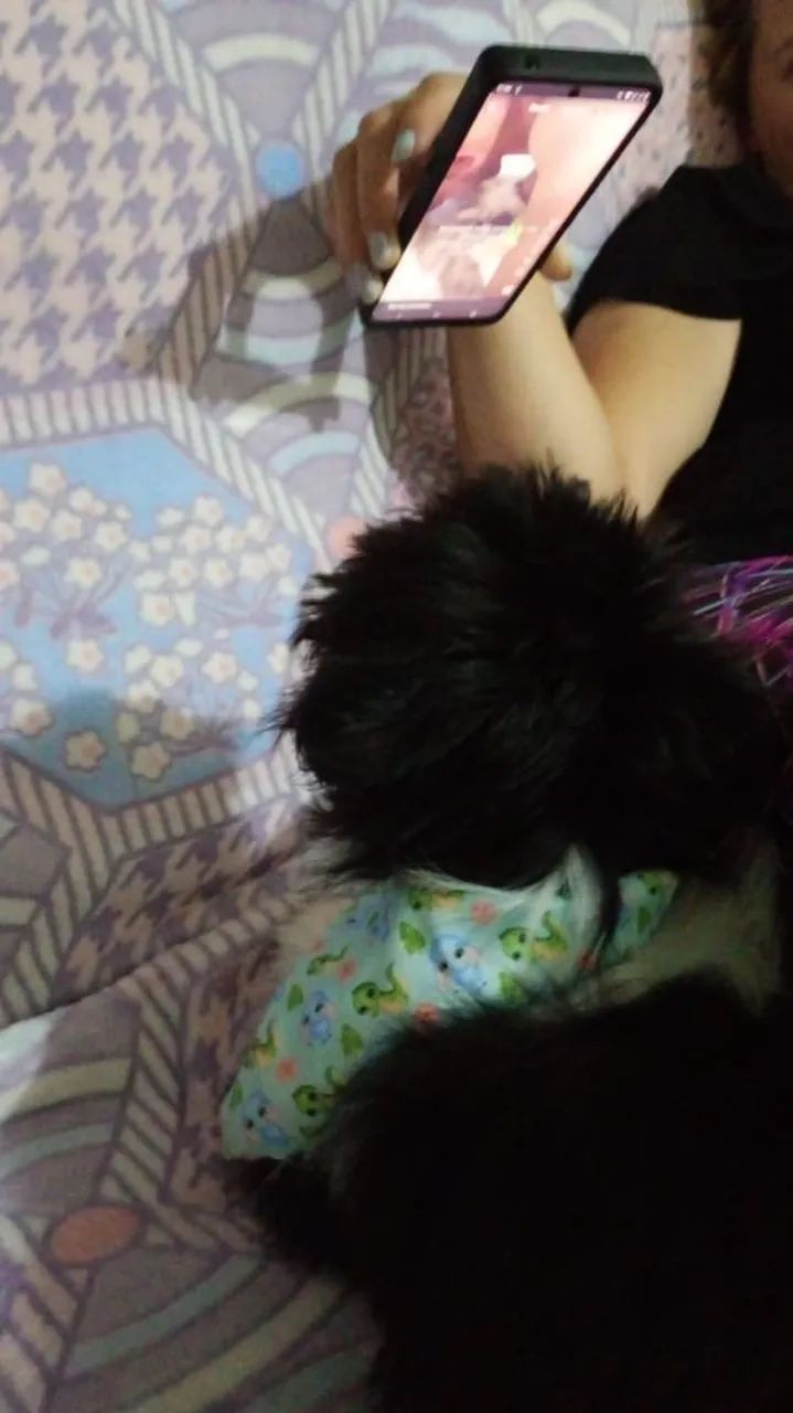 Cachorro dócil  - Foto 4