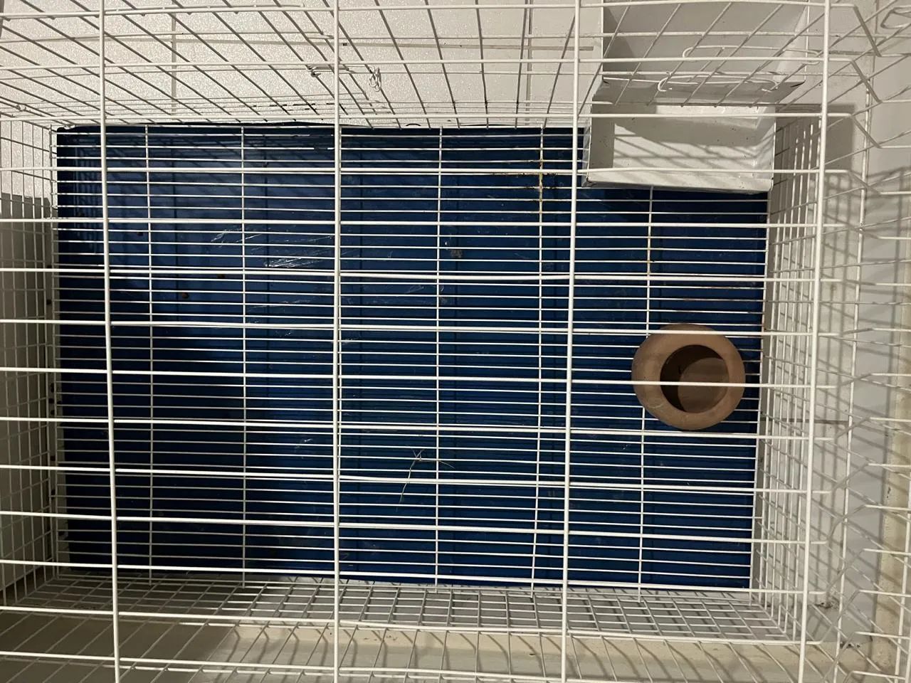 Gaiola para coelho, hamster? - Foto 3