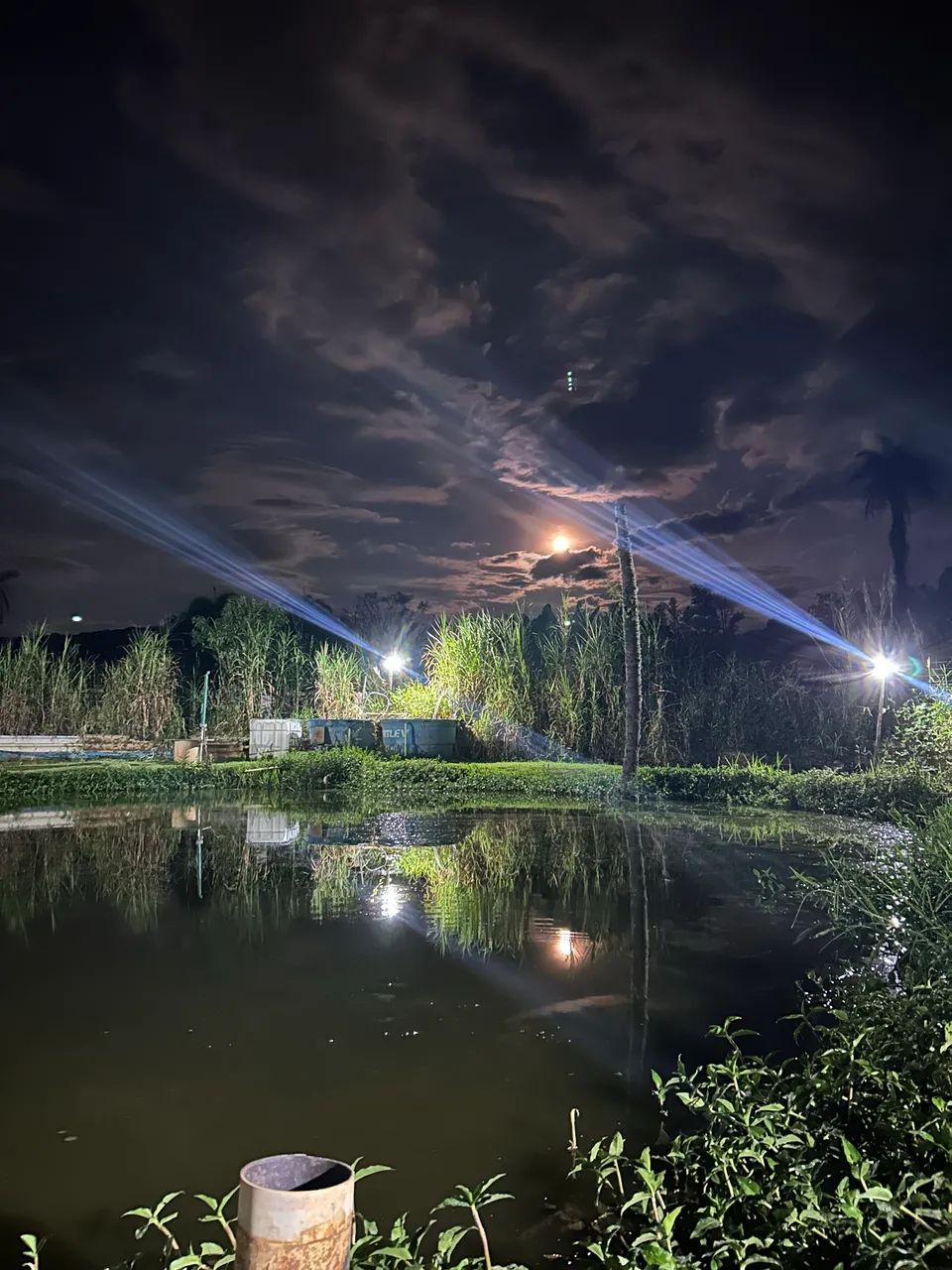 Vendo Pesque Pague de Porteira Fechada  - Foto 2