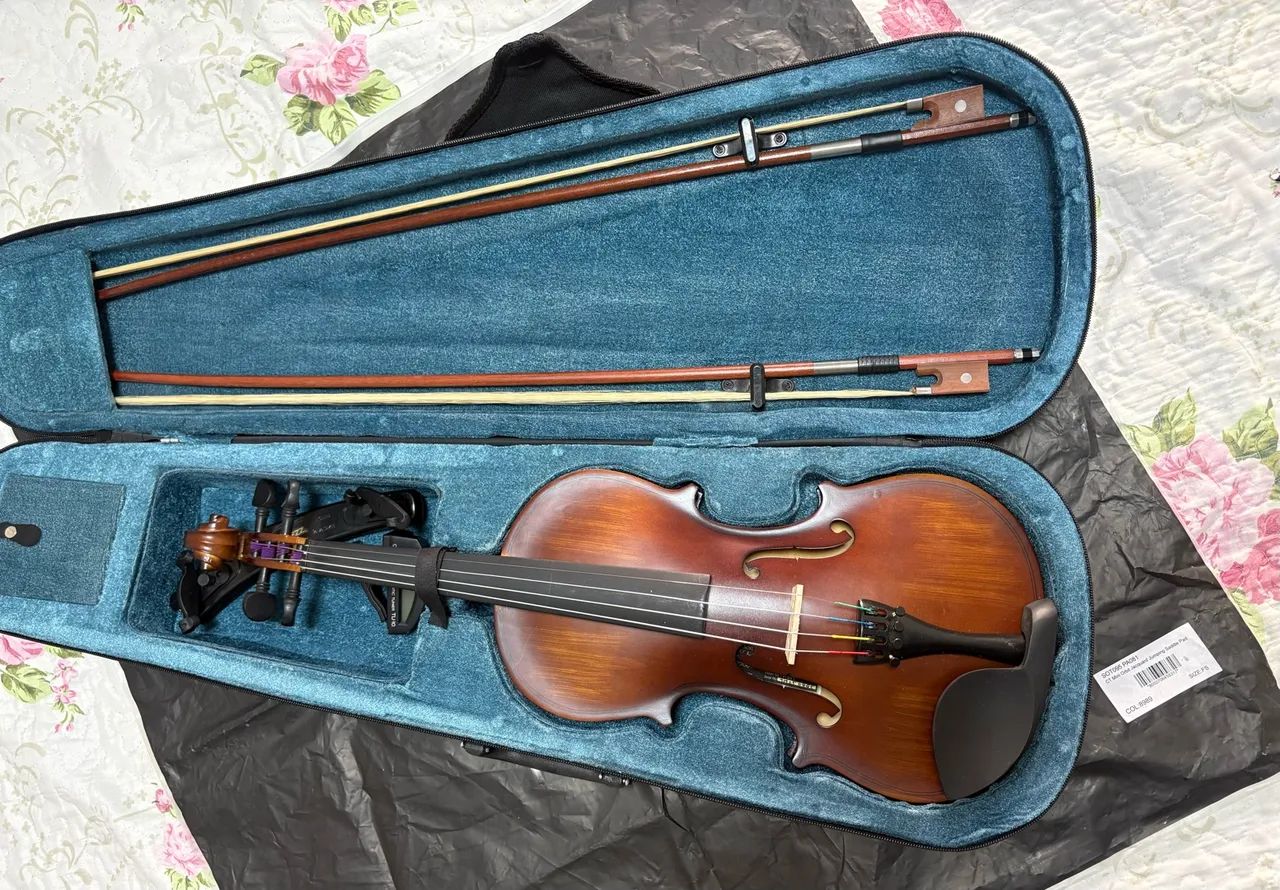 Violino