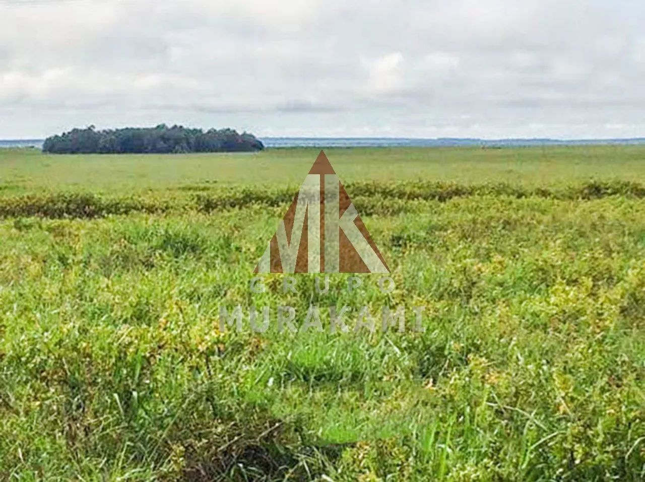 FAZENDA - CANARANA - MT - Foto 3