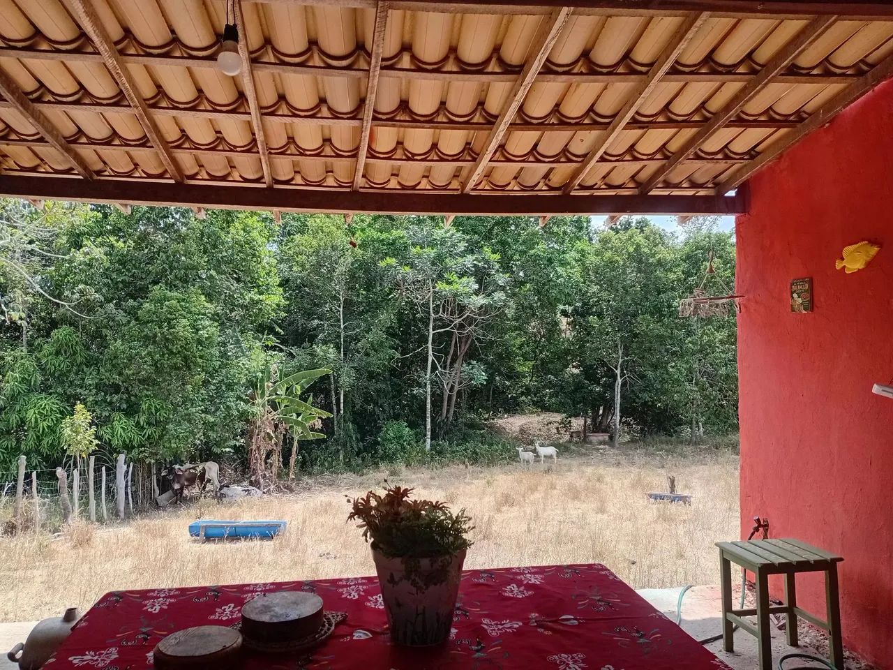 Vendo sitio - Foto 5