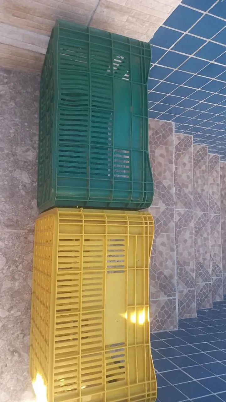 Caixa de frutas - Foto 2